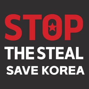 STOP THE STEAL 차량용 스티커 SAVE KOREA 캠페인 STS자동차 데칼 시트지, 1개, 화이트B타입