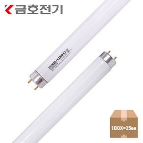 금호전기 번개표 직관형광등 20W 580mm 주광색 단파장 (25개)1BOX KC인증, 25개