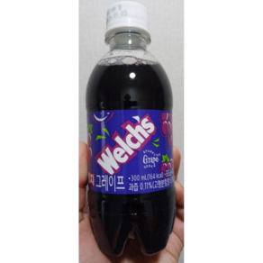 웰치스 포도맛, 300ml, 10개