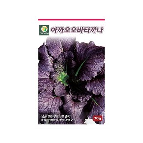 (DN) 아까오오바타까나 씨앗(20g), 1개