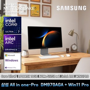 삼성올인원프로 ULTRA7 컴퓨터 DM970AGA-I7LBG+11PRO(ULTRA7LPDDR5X 16GBSSD512GBX2INTEL ARC11PRO), 일체형PC, 그레이, 16GB