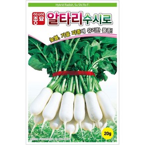 아시아종묘 수시로알타리 가을김장 무씨앗 무우씨 종자 (20g), 1개