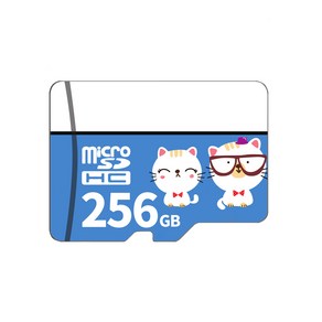 Docoole 256GB 마이크로 SD 카드 TF 소형 카드 메모리 카드 (주제품 용량이 실제용량 차이 좀 있음. 참고하고 주), 1개