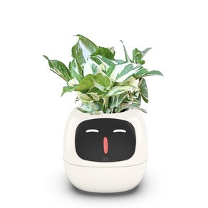IVY 아이비 스마트 AI 감정표현 화분 애완 로봇 식물 인테리어, 화이트, 1개