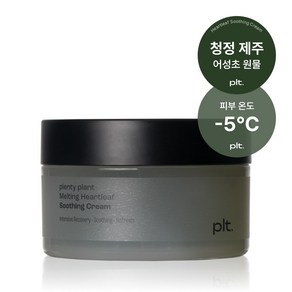 [쿨링 진정 수분 크림] 플렌티플랜트 멜팅 어성초 수딩 크림, 1개, 100g