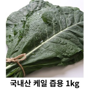 케일 즙용 1kg 2kg 국내산 산지직송 녹즙용 케일즙 주스용 케일쥬스 케일 신선초 래드비트 건강주스 즙용 건강채소 쌈채소, 1박스