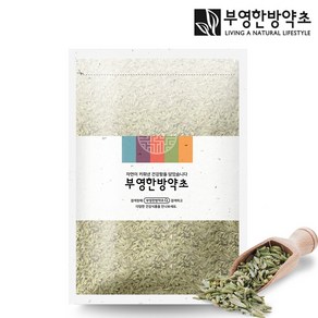 부영한방약초 펜넬 산미나리씨앗 1kg, 1개, 1개입