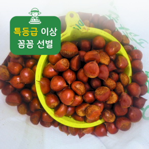 명품 공주 햇밤 특등급 공주밤 국산 햇알밤 맛밤 제수용, 1박스, 4kg