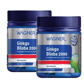 와그너 징코빌로바 2000 Wagne Ginkgo Biloba, 2개, 100정