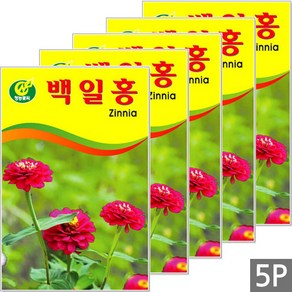 세인화분 백일홍 40립, 5개
