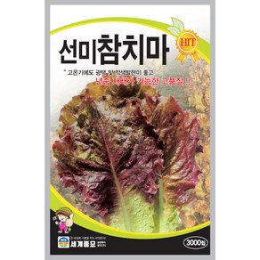 선미참치마 3000립(여름용)/세계종묘 상추씨앗