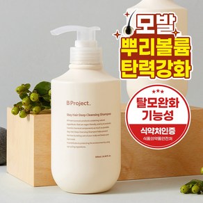 비프로젝트 탈모 볼륨 샴푸, 1개, 500ml