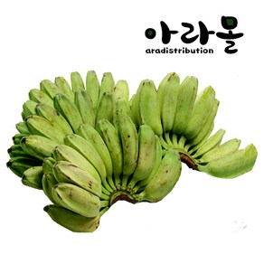 아라몰 그린 사바 바나나 (Geen Saba Banana), 6kg, 1개