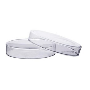 60mm 유리 페트리디쉬 샬레 2개 교과서실험 과학용품
