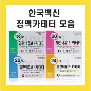 한국백신 카테터 18G 20G 22G 24G모음 정맥주사기 혈관내튜브 멸균 카테타, 카테터 24G, 1개