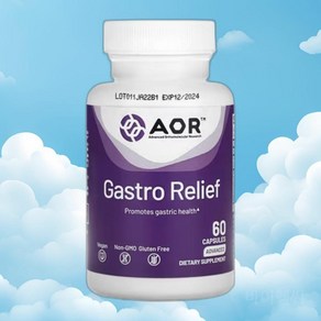 AOR 개스트로우 릴리프 캡슐 60정 Gasto Relief, 1개