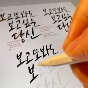 김나 캘리그라피 체본집 PDF파일 붓펜 아이패드 난이도(중), 김나스타일체