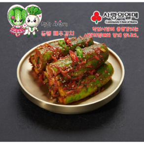 착한사랑의동행김치 오이소박이 (100% 국내산 농산물제품), 1박스, 1.5kg