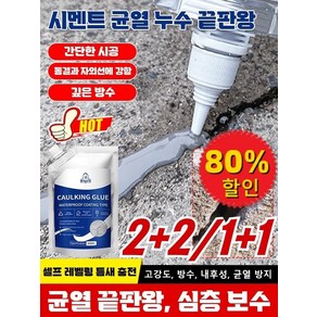 2+2/1+1 【도구 제공】신속 건조형 도로 균열 충전제 고탄성 그라우트 접착제 균열 해결사, [1+1] 도구 세트 포함