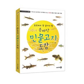 초보자가 꼭 알아야 할손바닥 민물고기 도감:우리나라 담수역과 기수역에서 사는 130종 민물고기들의 생태 기록, 이비컴, 노세윤 글,사진