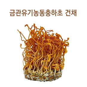 유기농산물 경북우수농산물 금관동충하초 건채