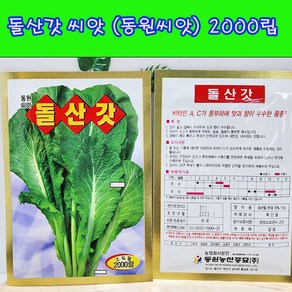 (샤인몰) 돌산갓 씨앗 2000립 1개/동원씨앗/비타민 A C 가 풍부하며 맛과 향이 우수한 품종, 1개