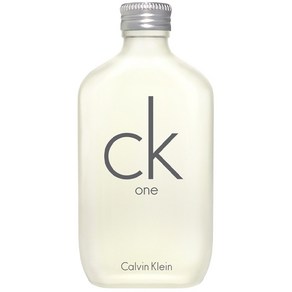 캘빈클라인 CK one 오드뚜왈렛, 200ml, 1개