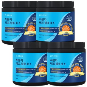 저분자 테프 발효 효소 곡물 분말 식약청 HACCP 자주가게, 4개, 90g