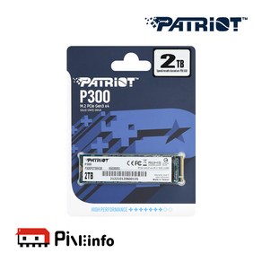 패트리어트 P300 2TB M.2 NVMe 3D TLC 파인인포, 선택없음