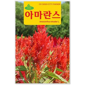 허브 씨앗 택1 (라벤다/로즈마리/레몬밤/마조람/바질/스피아민트/세이지/에키네시아/차이브/카모마일/코리안더/타임/페퍼민트/히솝/아마란스)