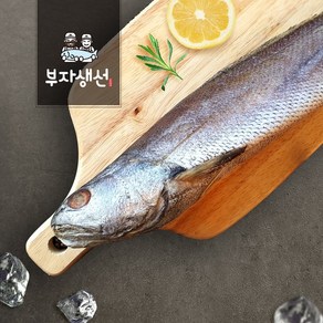 국내산 제수용 반건조 참민어(망미중앙시장 부자생선), 1개, 참민어 38cm 1마리