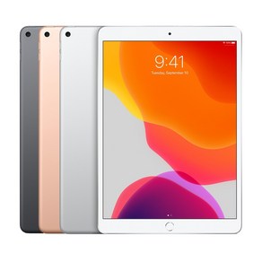 Apple 2019년 iPad Ai 10.5 3세대, Space Gay, 64GB, Wi-Fi