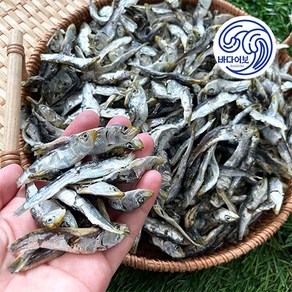 남해안 햇 건 솔치 청어(정어리) 멸치 상급 1kg 500g (볶음 조림 육수용), 1개