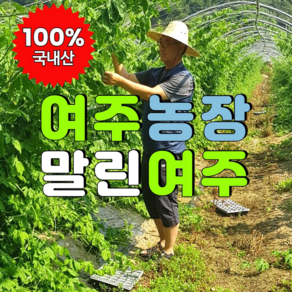 옹달샘농장 국내산100% 무농약 햇 건여주, 1개, 500g