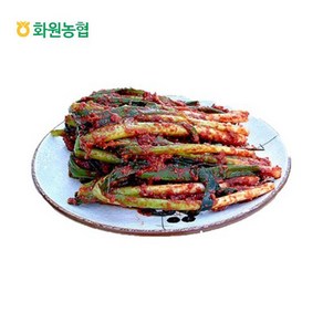 [화원농협] 이맑은 김치 골라담기, 1kg, 1박스, 파김치 1kg