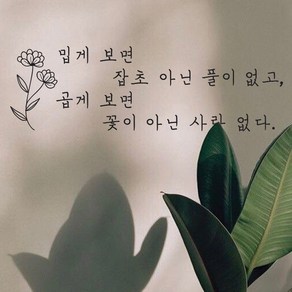 뮤즈 곱게 보면 꽃이 아닌 사람 없다 손글씨 캘리그라피 레터링 인테리어 스티커 시트지, 검정