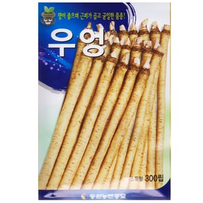 동원 우엉 씨앗 300립 우엉씨 종자 키우기, 1개