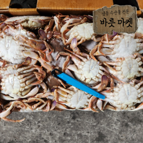 황게10kg 업소용 대용량, 7단 (70~90미 내외), 1개