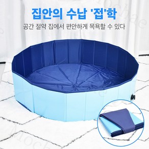 Mochae 접이식 수영장 반려동물 풀장 강아지 욕조 물놀이 베란다 원형 수영장 야외용 대형 간이 풀장, 160*30cm, 1개