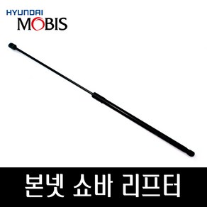 그랜져HG 본넷쇼바 후드리프터 811613V001 811713V001, 1개