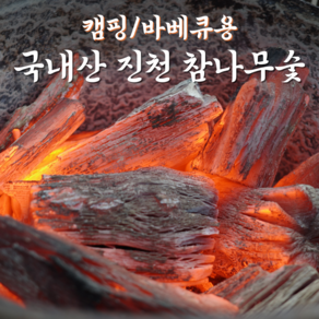 [진천참숯] 국내산 참나무 숯 흑탄 숫 탈취 냄새제거 공기정화용 구이용 캠핑 바베큐 검탄 제습 가습, 1개, 3kg