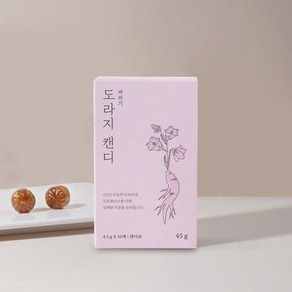 생활한방연구소 건강식품관 바라기 도라지캔디 단상자 45g, 1개