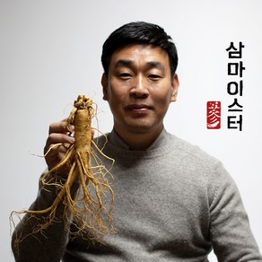 금산인삼 삼마이스터 5년근 6년근 수삼 750g, 2.원수삼 대750g(9~11)뿌리, 1개, 1.세척안한 인삼