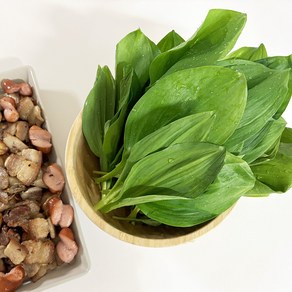 [무농약]울릉도종 생명이나물 잎명이 산마늘잎 명이생채, 2kg, 1개