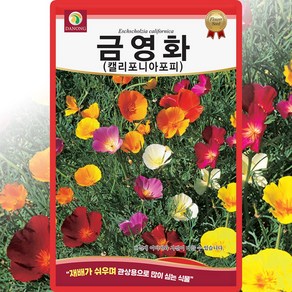 다농 금영화 캘리포니아포피 씨앗 1g 양귀비 씨 꽃 종자, 1개