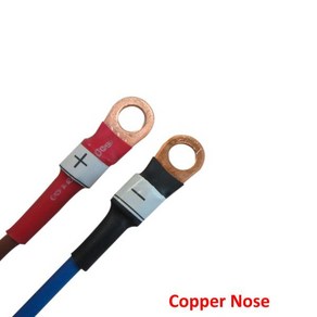 태양 철 인산염 RV 배터리 셀 스마트 충전기 3.65 V 10A Lifepo4 고속 1S 3.2V LFP 에너지 저장 볼트, Coppe Nose, US, 1개