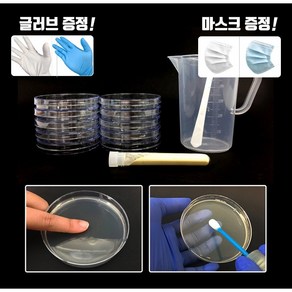 디에스스토리 세균배양배지 만들기 세트 10인용-황색포도상구균(MSA) 과학실험