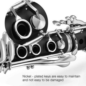 전문 고품질 목관 악기 클라리넷 B 플랫 튠 블랙 튜브 케이스 액세서리 신제품, 한개옵션0, 1개