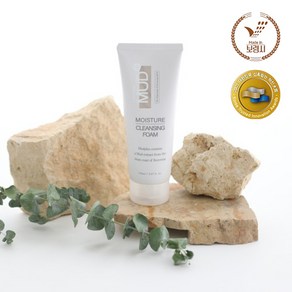 [보령머드] 보령시공식머드화장품 모이스처 클렌징폼 150ml, 1개