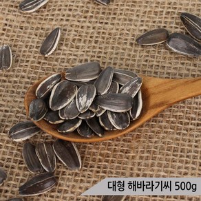 건강알곡 대형 해바라기씨 500g 앵무새 햄스터 간식, 1개